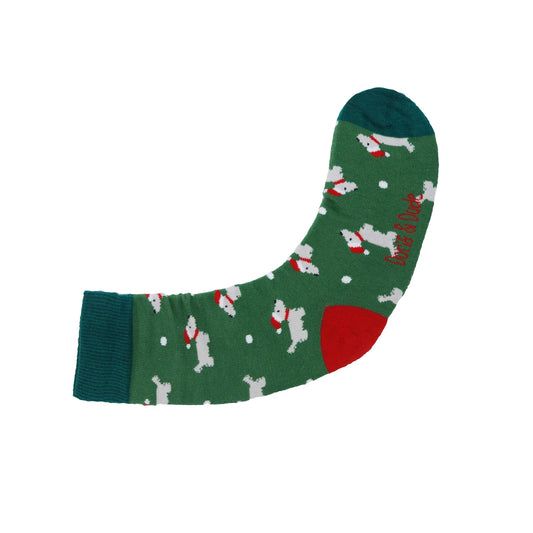 Jólahundur grænn - 41-45