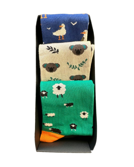 Gjafakassi - dýr 2 41-45